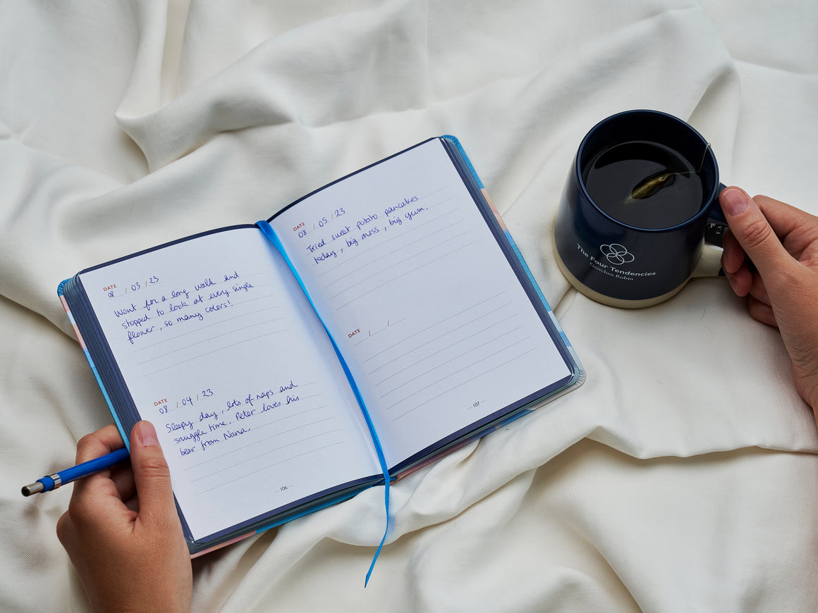 OneSentence Journal with FREE Companion Guide The Happiness Project